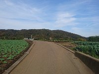 DSC 0699 1