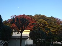 DSC 0702 1