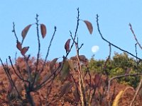 DSC 0707