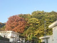 DSC 0709