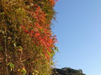 DSC 0712 1