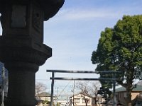 DSC 0728 1