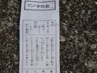 DSC 0732