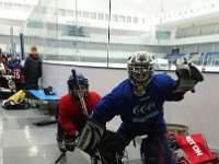 DSC 0741 1