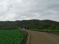 DSC 0767 1