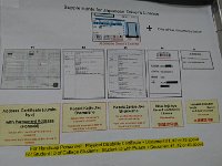 DSC 0790