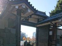 DSC 0804 1