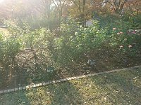 DSC 0817