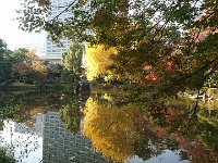 DSC 0827