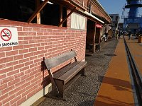 DSC 0875