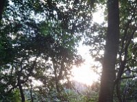 DSC 0003
