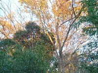 DSC 0014