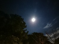DSC 0068