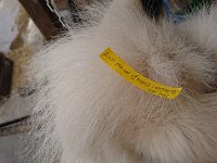 DSC 0151
