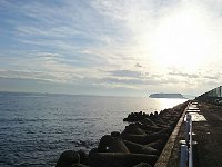 DSC 0177