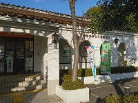 DSC 0217