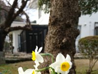 DSC 0247