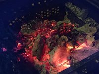 DSC 0252