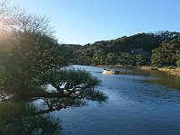DSC 0310