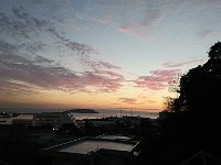 DSC 0311