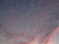 DSC 0319