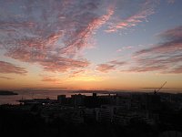 DSC 0320