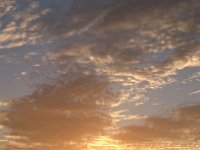 DSC 0335