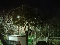 DSC 0340