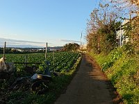 DSC 0402