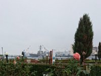 DSC 0877