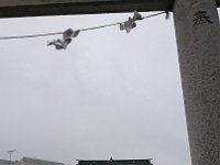 DSC 0881
