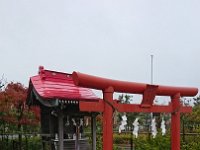 DSC 0882