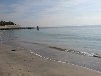 DSC 0938