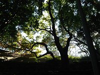 DSC 0955