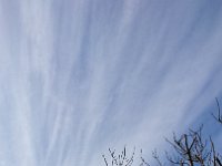 DSC 0972