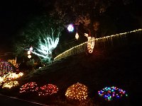 DSC 0993
