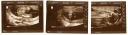 18-weeks.jpg