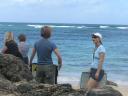 Orientation to be a Honu Guardian (Hawaiian green sea turtle protection program).