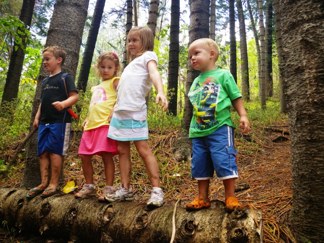imgp2803 Enjoying a hike with our buddies before they move. (Click for more.)