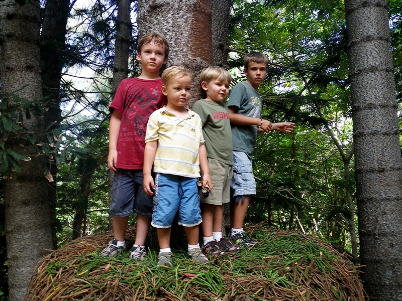 "Jump-off tree" never fails to provide excitement and drama!