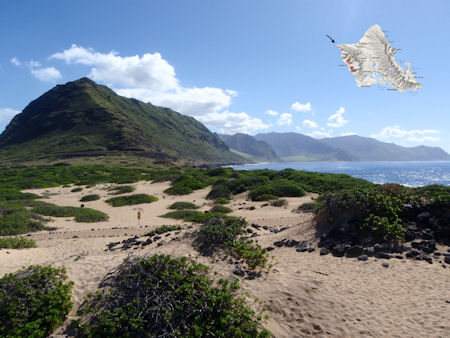 kaena-pt.JPG