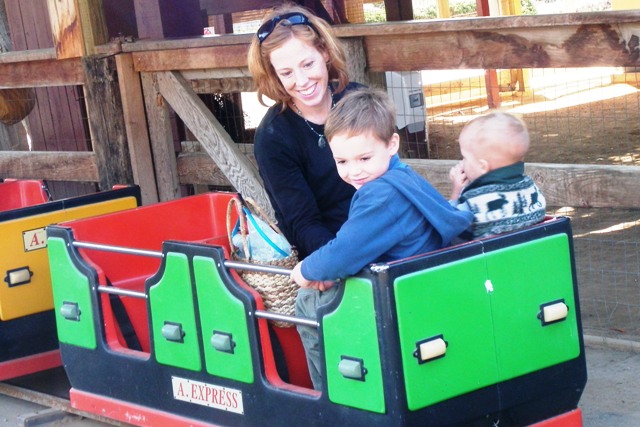 The train at the petting zoo was a big hit.