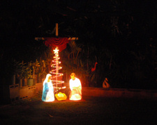 pc170021-2.JPG