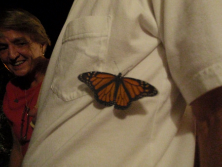 pc190030-2.JPG
