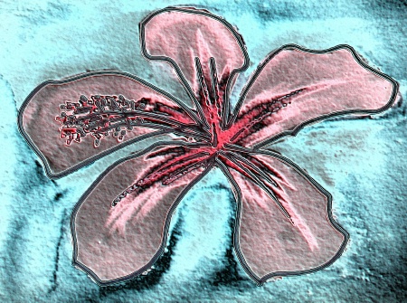 pink-hibiscus-sandstone-2.jpg