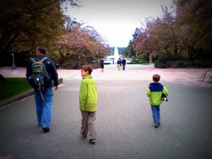 Out to Burke Museum on UW campus, followed by a walk around the campus. The cherry blossoms are in bloom!