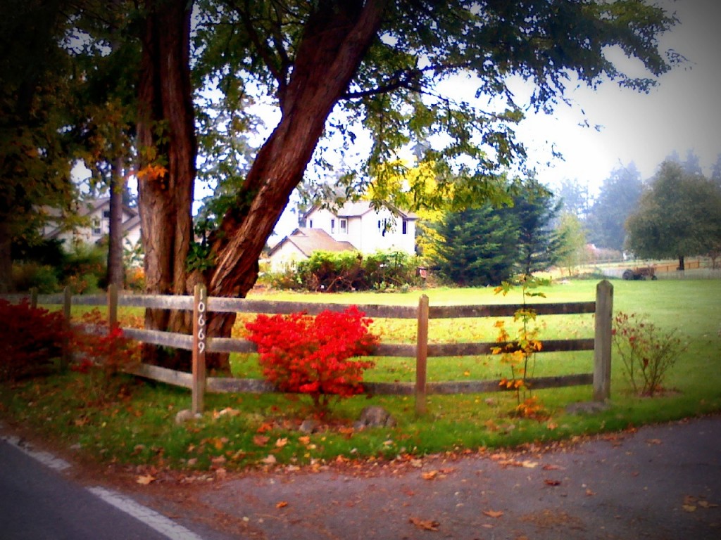 A farm down near Manitou beach, also on a running route of mine. See the tractor in the background to the right?